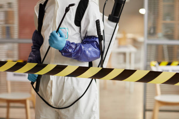 Professional Sewage Cleanup technician working in Blanco, TX